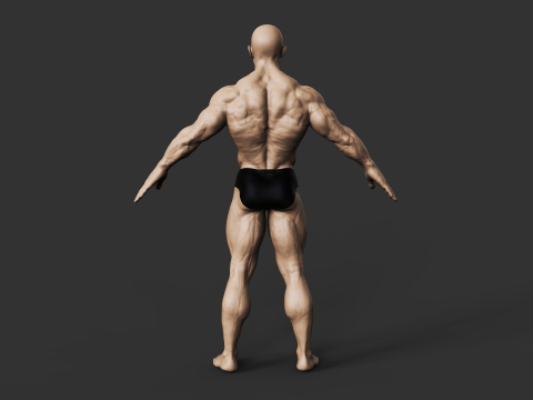 Bodybuilder 3D प्रिंट मॉडल