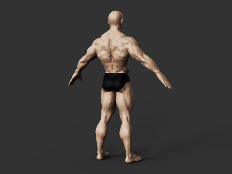 Fisiculturista Modelo de Impressão 3D