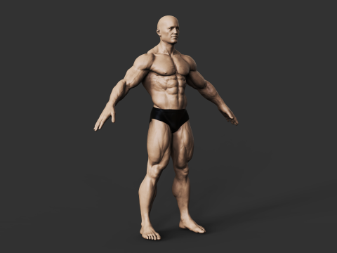 Bodybuilder 3D प्रिंट मॉडल