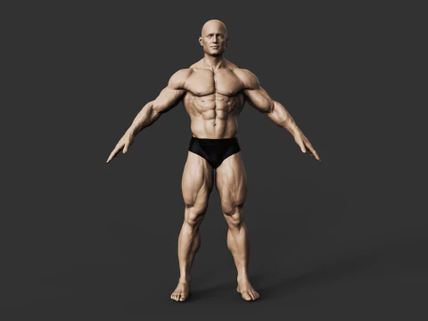 Fisiculturista Modelo de Impressão 3D