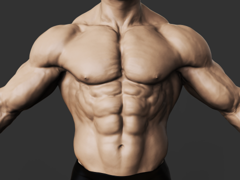 Bodybuilder 3D प्रिंट मॉडल