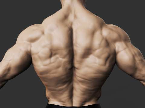 Bodybuilder 3D प्रिंट मॉडल