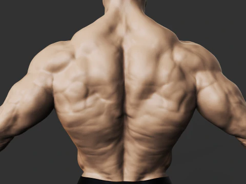 Fisiculturista Modelo de Impressão 3D