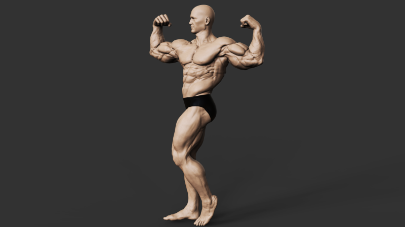 Bodybuilder 3D-Druckmodell .c4d .max .obj .3ds .fbx .stl .blend
