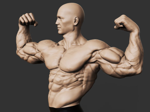 Bodybuilder 3D-Druckmodell