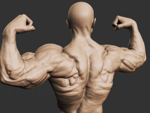 Bodybuilder 3D-Druckmodell