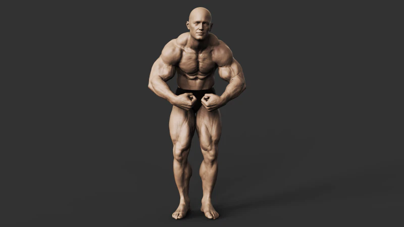 Bodybuilder 3D printmodel .c4d .max .obj .3ds .fbx .stl .blend 