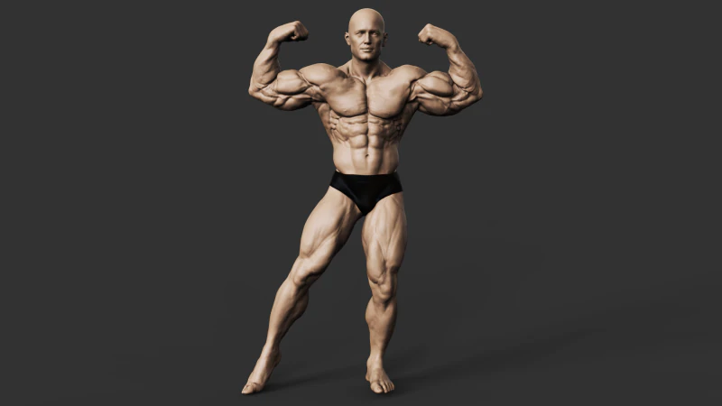 Culturiste Modèles 3D en vedette .c4d .max .obj .3ds .fbx .stl .blend 