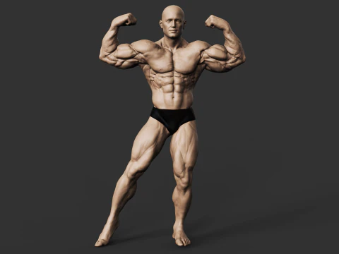 Bodybuilder 3D Druckmodell