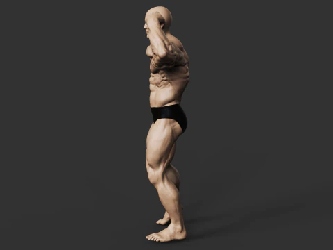 Culturiste Modèles 3D en vedette