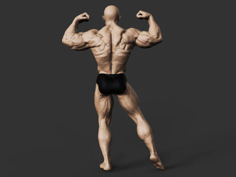 Culturiste Modèles 3D en vedette