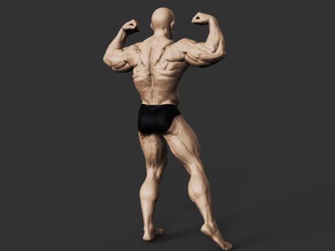 Culturiste Modèles 3D en vedette