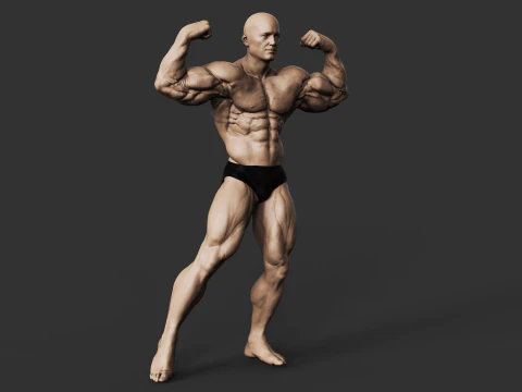 Culturiste Modèles 3D en vedette