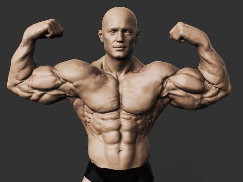 Culturiste Modèles 3D en vedette