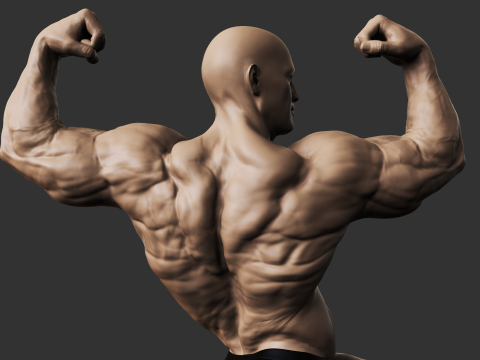Bodybuilder Model do druku 3D
