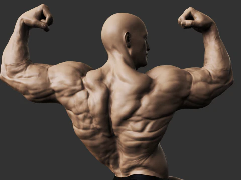 Binaragawan Model Cetak 3D