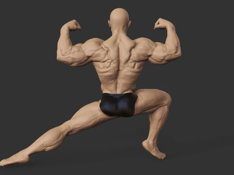 Culturiste Modèles 3D en vedette