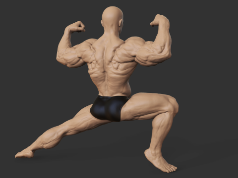 Bodybuilder Modèles 3D en vedette