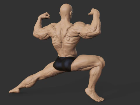 Culturiste Modèles 3D en vedette