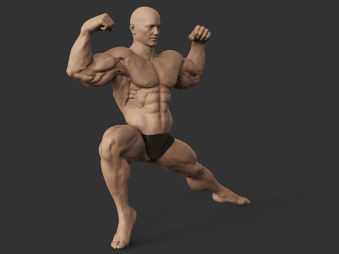 Culturiste Modèles 3D en vedette