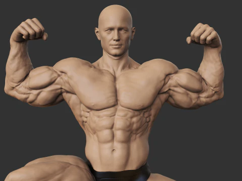 Culturiste Modèles 3D en vedette