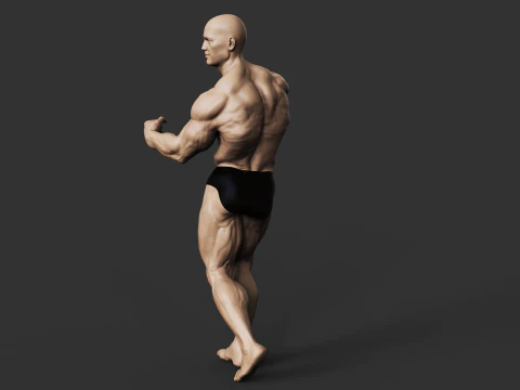 Culturiste Modèles 3D en vedette