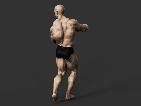 Culturiste Modèles 3D en vedette