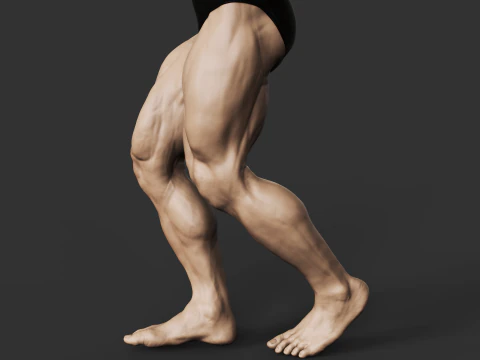 Culturiste Modèles 3D en vedette