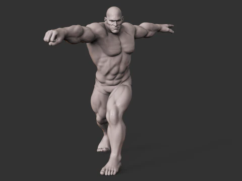 Fisiculturista Modelo de Impressão 3D