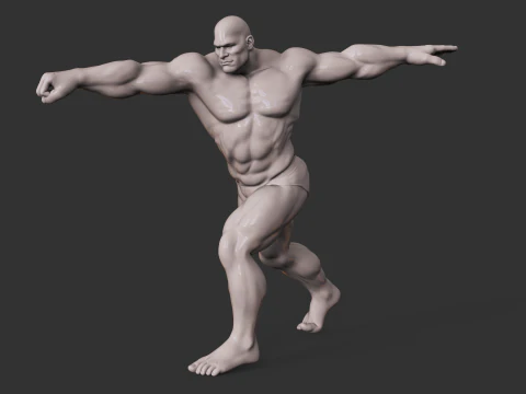 Fisiculturista Modelo de Impressão 3D