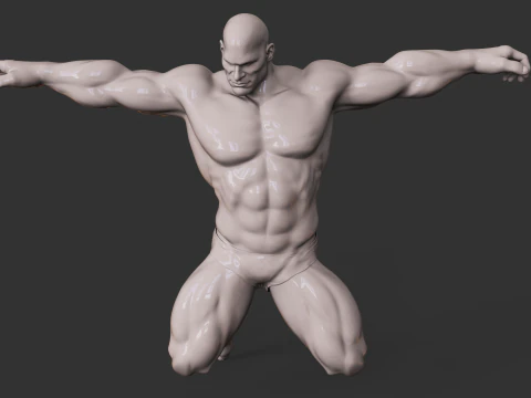 Bodybuilder 3D printmodel