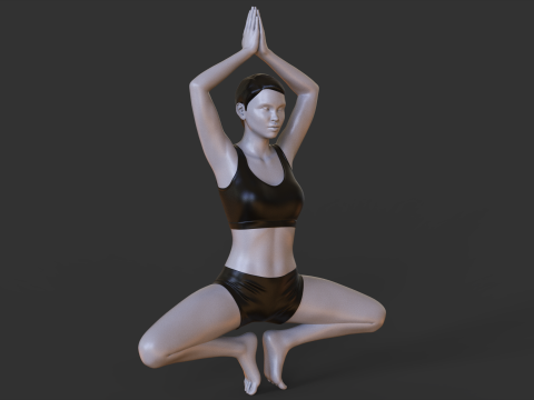 Yoga Pose - Balancing Butterfly pose 3Dプリントモデル