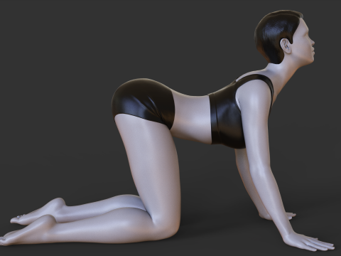 Yoga Pose - Cat Pose - Marjariasana 3Dプリントモデル