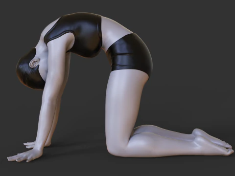 Yoga Pose - Cow pose - Bitilasana 3D Print Model