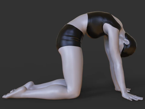 Yoga Pose - Cow pose - Bitilasana 3D Print Model