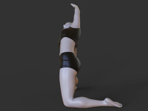 Yoga Pose - Gate Pose - Parighasana 3D Print Model