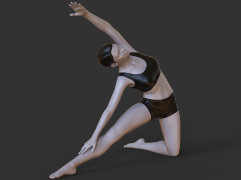 Yoga Pose - Gate Pose - Parighasana Model do druku 3D