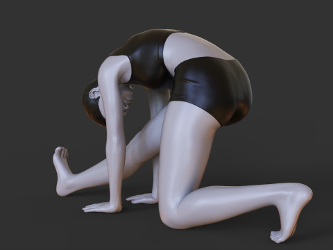 Yoga Pose - Half Split Yoga Pose - Ardha Hanumanasana 3D Print Model