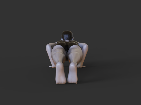 Yoga Pose - Plank pose - Chaturanga Dandasana Model Cetak 3D