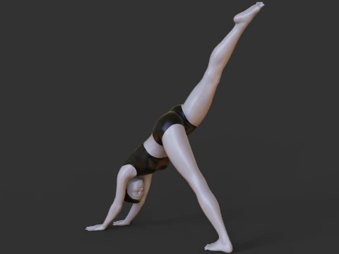 Yoga Pose - Three Legged Dog Pose - Tri Pada Adho Mukha Svanasana 3D Print Model
