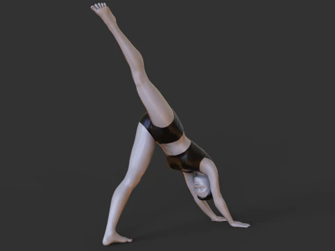 Yoga Pose - Three Legged Dog Pose - Tri Pada Adho Mukha Svanasana 3D Print Model