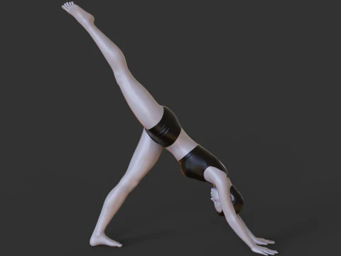 Yoga Pose - Three Legged Dog Pose - Tri Pada Adho Mukha Svanasana 3D Print Model