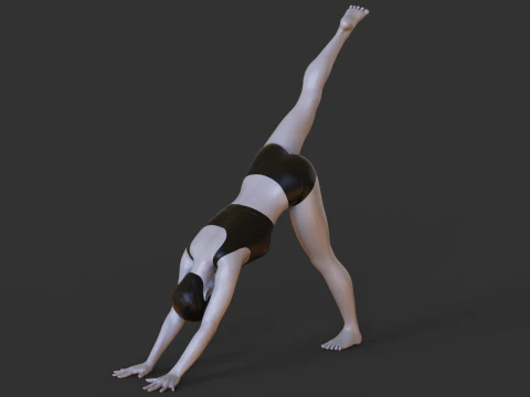 Yoga Pose - Three Legged Dog Pose - Tri Pada Adho Mukha Svanasana 3D Print Model