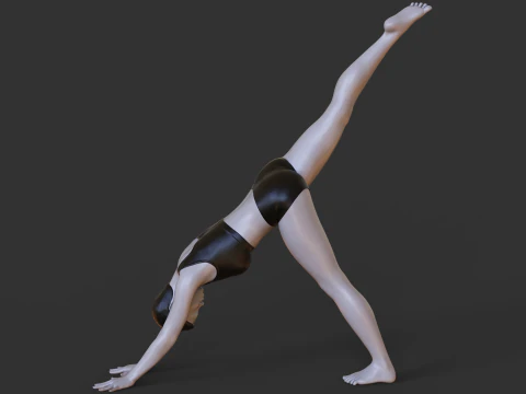 Yoga Pose - Three Legged Dog Pose - Tri Pada Adho Mukha Svanasana 3D Print Model