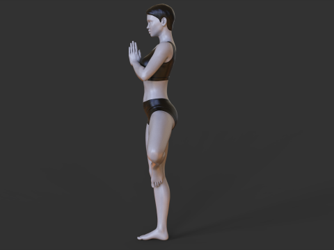 Yoga Pose - Tree Pose - Vrksasana 3Dプリントモデル