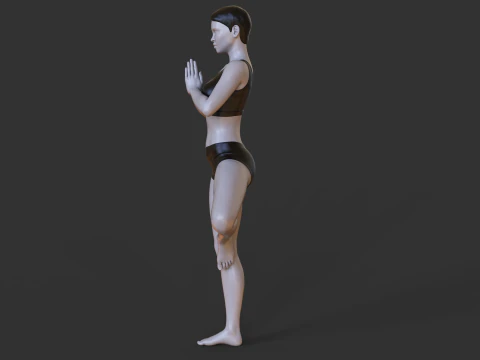 Yoga Pose - Tree Pose - Vrksasana 3D Print Model