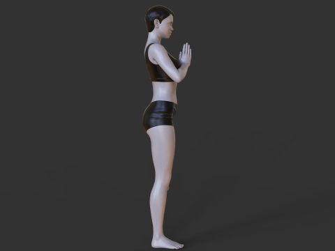 Yoga Pose - Tree Pose - Vrksasana 3Dプリントモデル