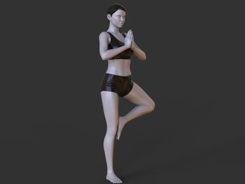 Yoga Pose - Tree Pose - Vrksasana 3D Print Model