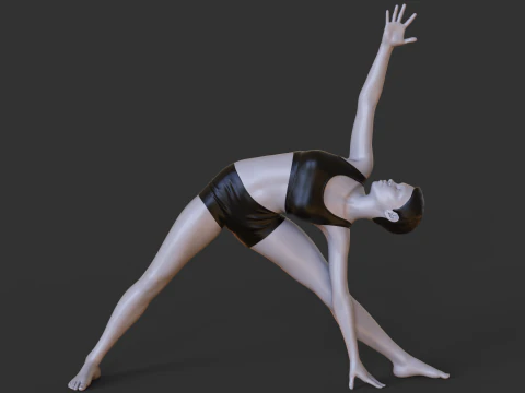 Yoga Pose - Triangle Pose 3D Print Model