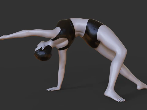 Yoga Pose - Wild Thing Pose - Camatkarasana 3D Print Model
